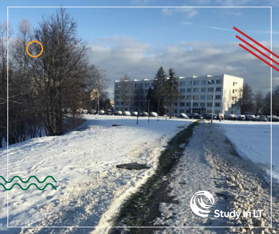 KTU campus in winter